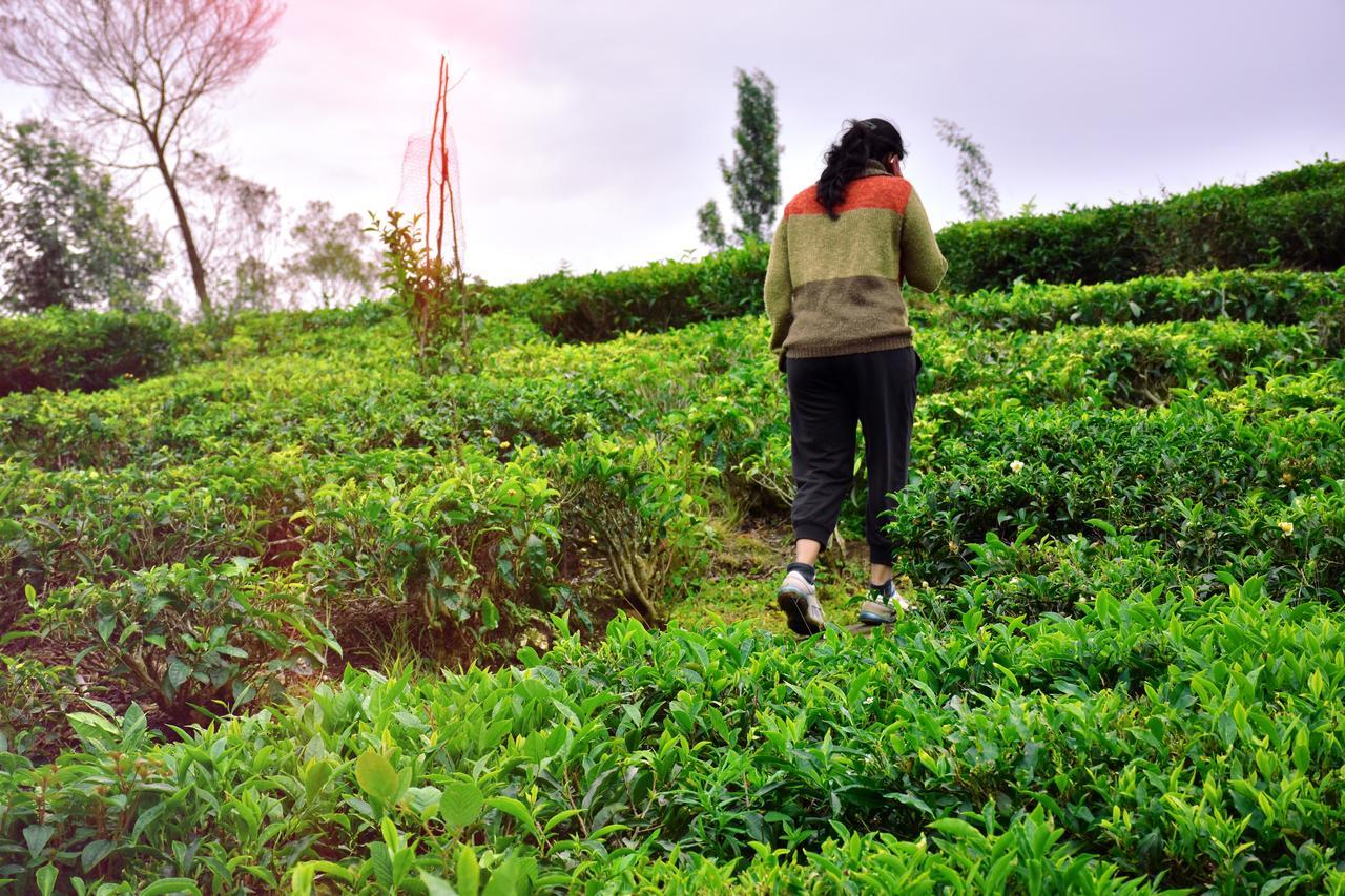 Green Nest Resort Ooty Kotagiri Exterior foto